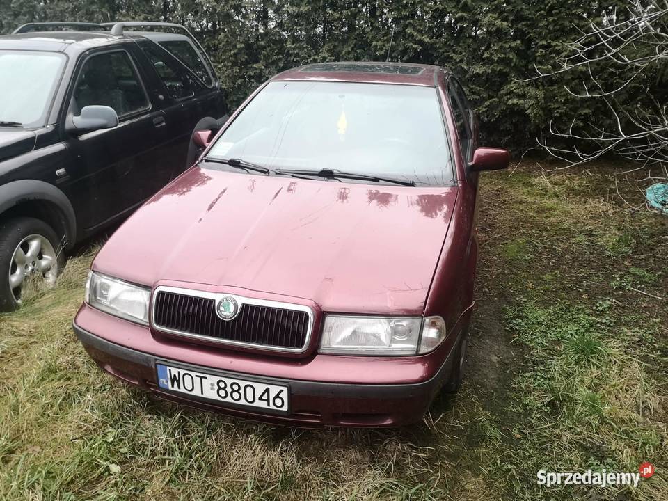 Skoda Octavia 16 Całowanie