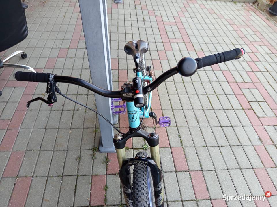 Rower Dirt Jadowniki