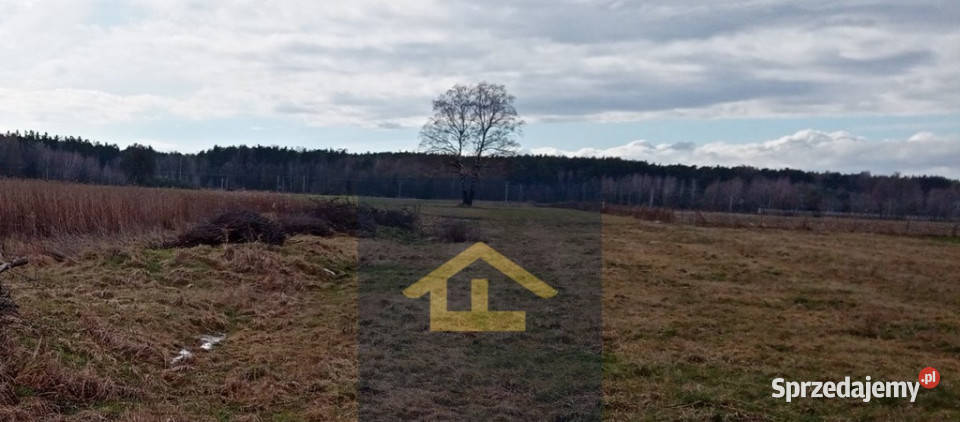 Działka w Chrośnie gmina Kołbiel mazowieckie Chrosna sprzedam