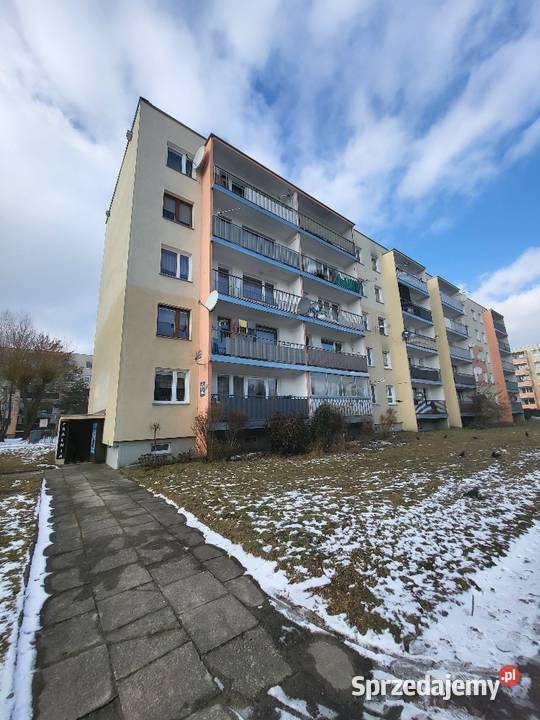 Syndyk sprzeda udział 12 w lokalu Konstantynów blok Konstantynów Łódzki