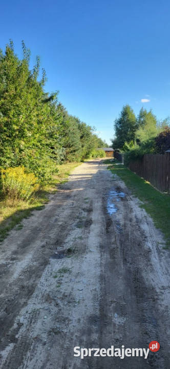 KatarzynówSokolniki Las Tatarakowa 2 działka Katarzynów sprzedam