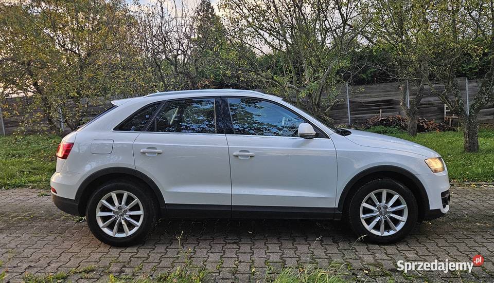 20d 140 Zadbany Bezwypadkowy Panorama Navi Kamienna Góra