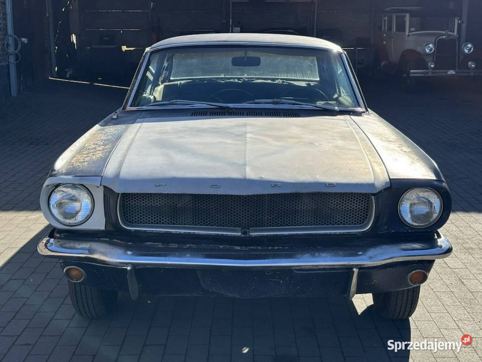 Ford Mustang Ford Mustang Coup 1965 110 Do Sulechów sprzedam