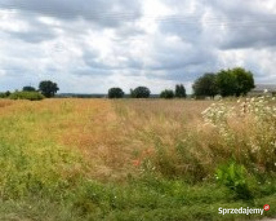 Grunt 3006m2 Smugi 134m