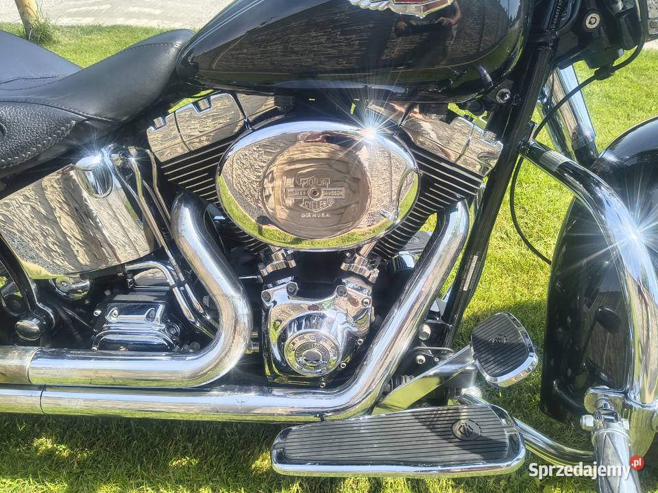 Harley Davidson softail Deluxe Bydgoszcz