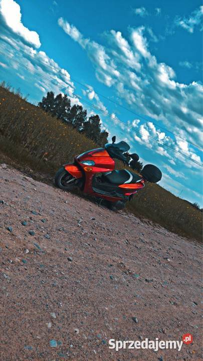 Yamaha majesty 125 Yamaha Skarszewy