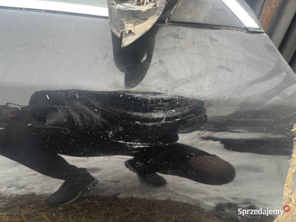 Drzwi BMW e60 Trzcinica