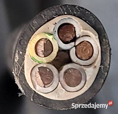 Kabel elektryczny YKY 061kV 5x10 40 metrów Wojcieszyce