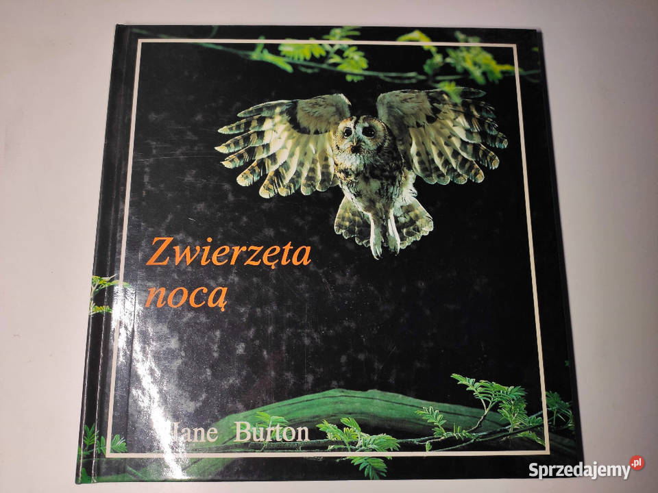 JANE BURTON Komplet 4 Książek Ideał