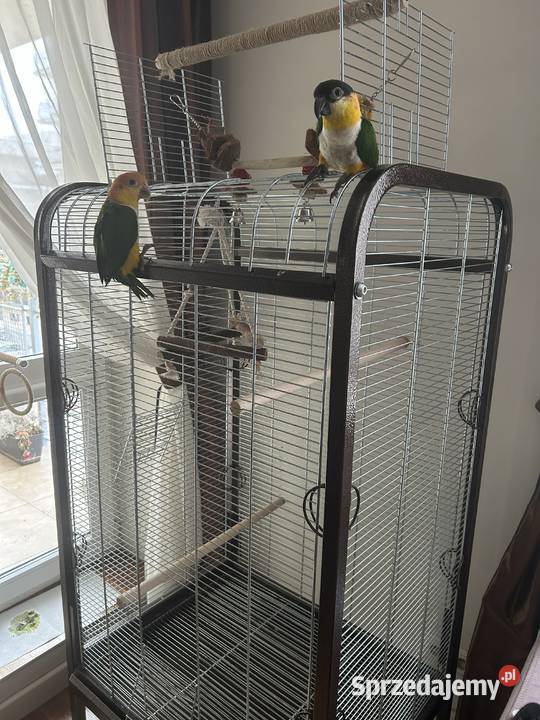 Klatka papug Omega 2 Ptaki mazowieckie Warszawa