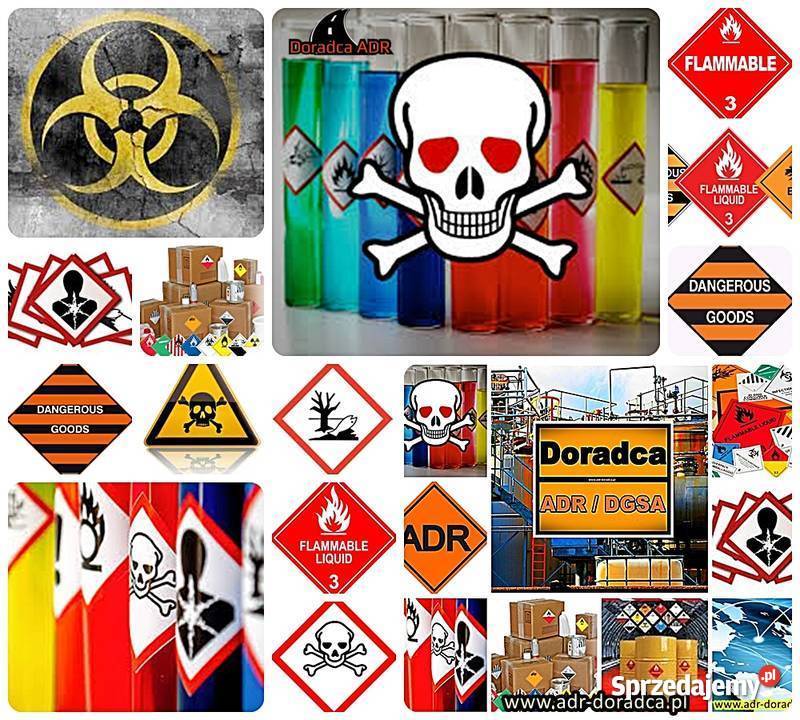 Doradca RID ADR DGSA sprawozdania Puławy FV23