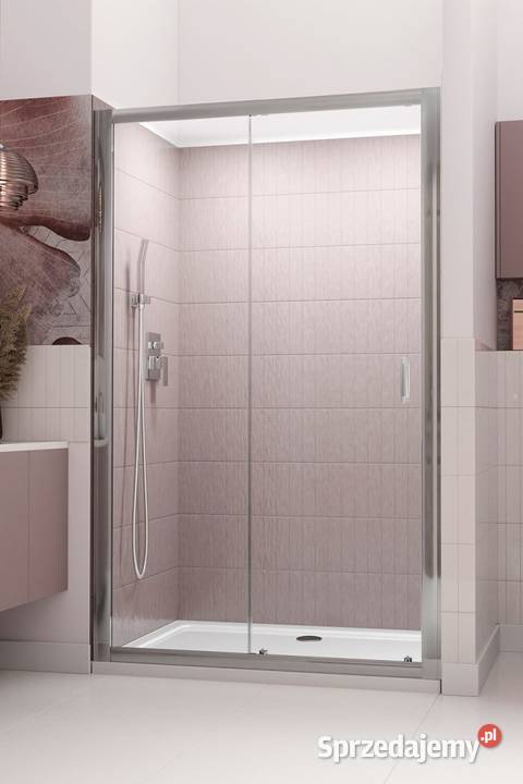 Drzwi natryskowe Radaway Premium Plus DWJ 110 Wrocław