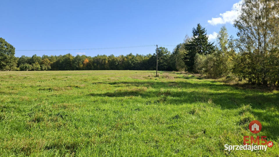 Sprzedam działka 1294m2 Łubianka kanalizacja