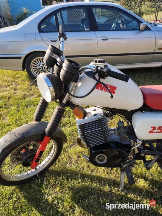 Sprzedam motocykle MZ ETZ 250 251 kujawsko-pomorskie Płużnica