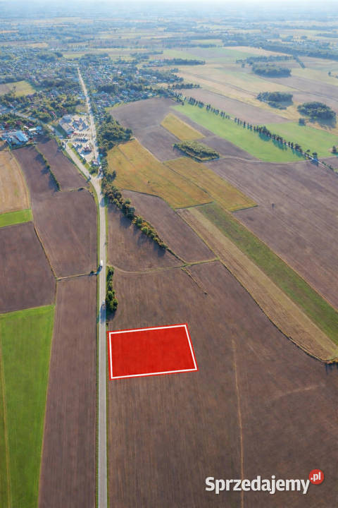 Działka inwestycyjna DK94 Jędrzychowice 328zł/m2