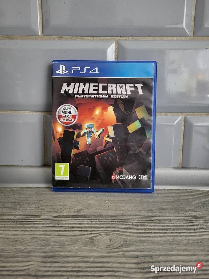 Minecraft 4