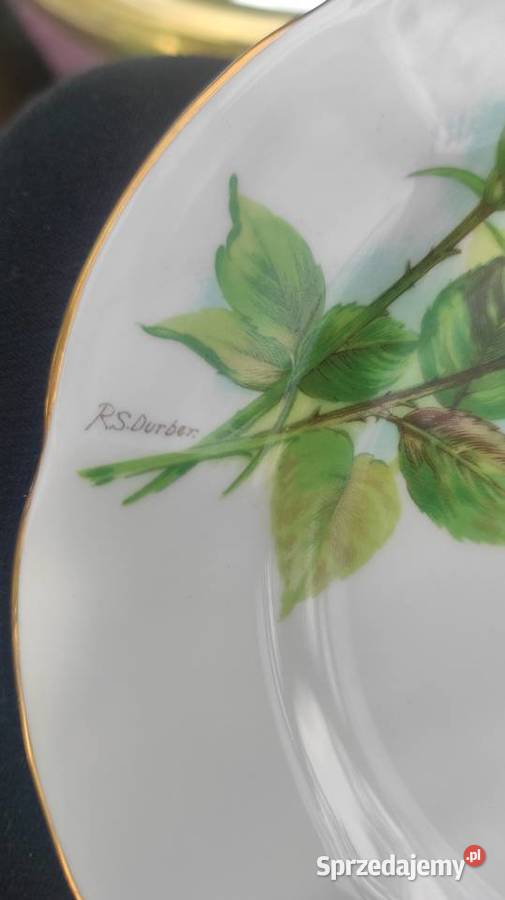 Angielska porcelana kostna ROSLYN