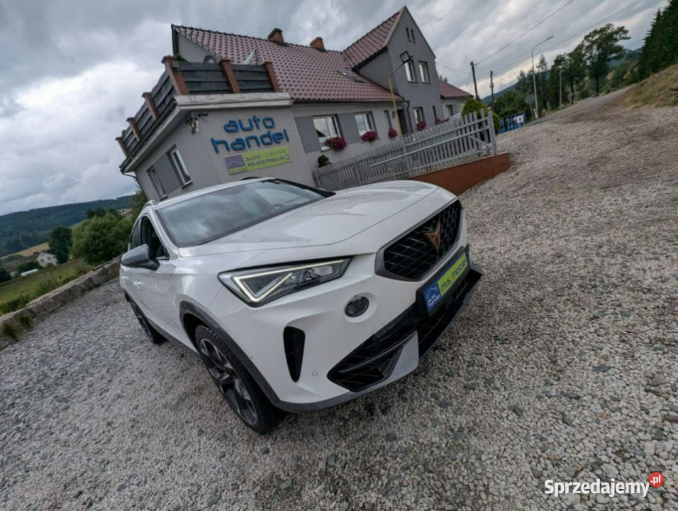 Cupra Formentor 310 4x4 ambiente światła przeciwmgielne Kamienna Góra