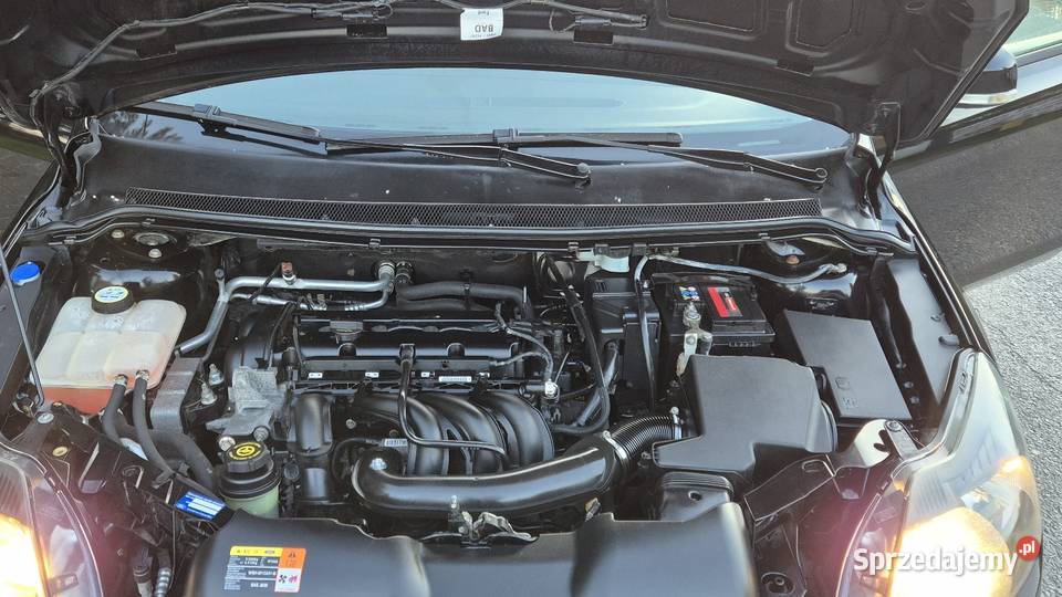 FORD FOCUS LIFT 16B OPŁACONY Z NIEMIEC KLIMA Końskie