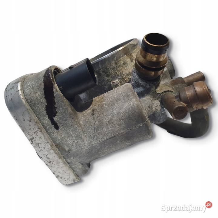 PRZEPUSTNICA Opel Signum 18 16V 55562380