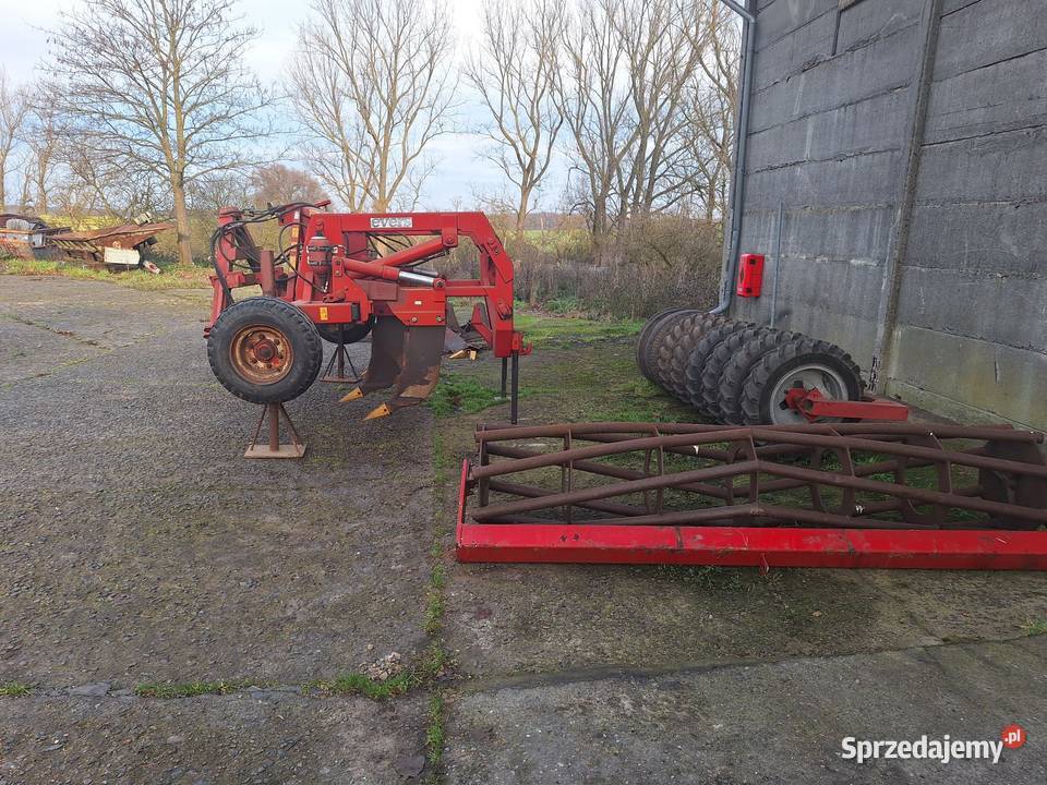 Głębosz talerzówka Sompolno