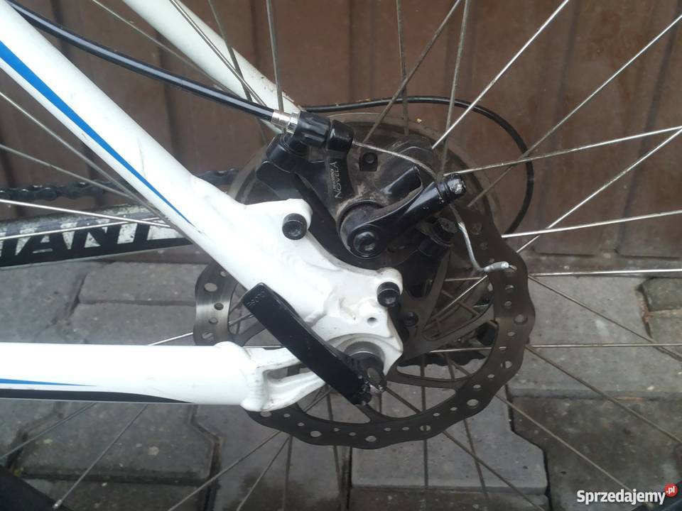 Giant Revel 3 w stanie Katowice