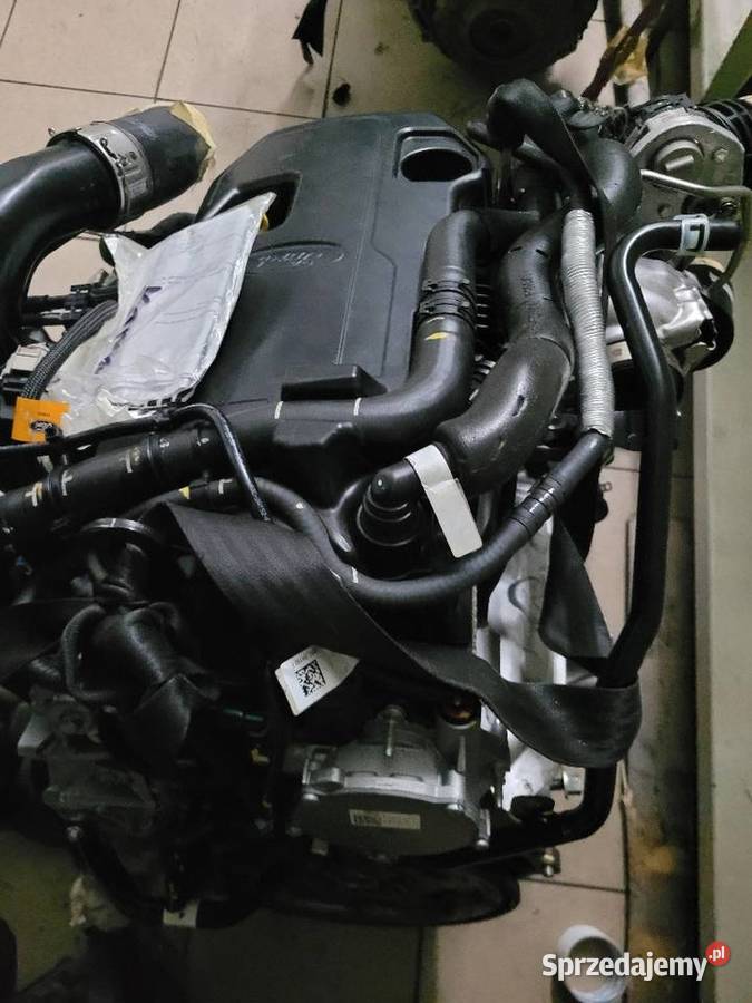 Naprawa Silnika Ford Ranger Raptor Remonty Radom sprzedam