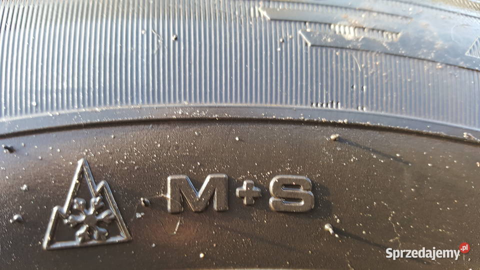 Opony Debica 1957015C Para MS wielosezon regał 6 15cale kujawsko-pomorskie Gniewkowo