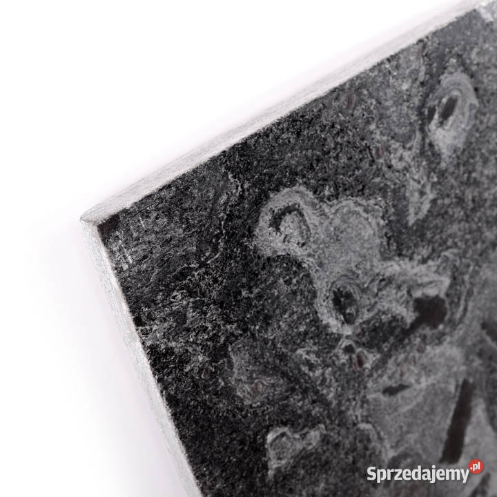 Płytki Łupek Silver Grey szlifowany 60x30x12 Kraków