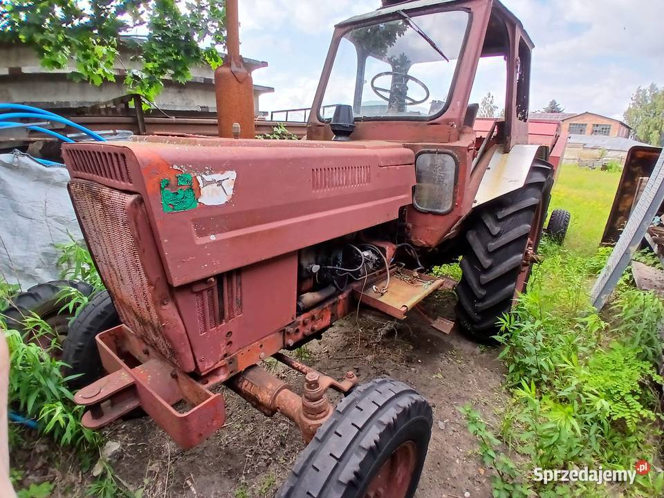 MTZ 82 Bydgoszcz