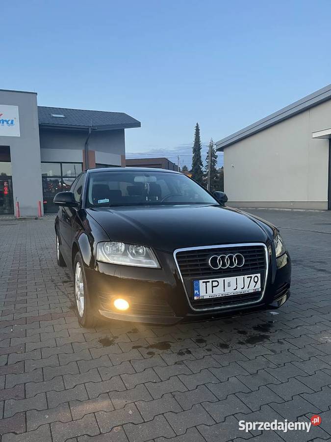 Audi a3 8p 19TDI czarny świętokrzyskie Pińczów