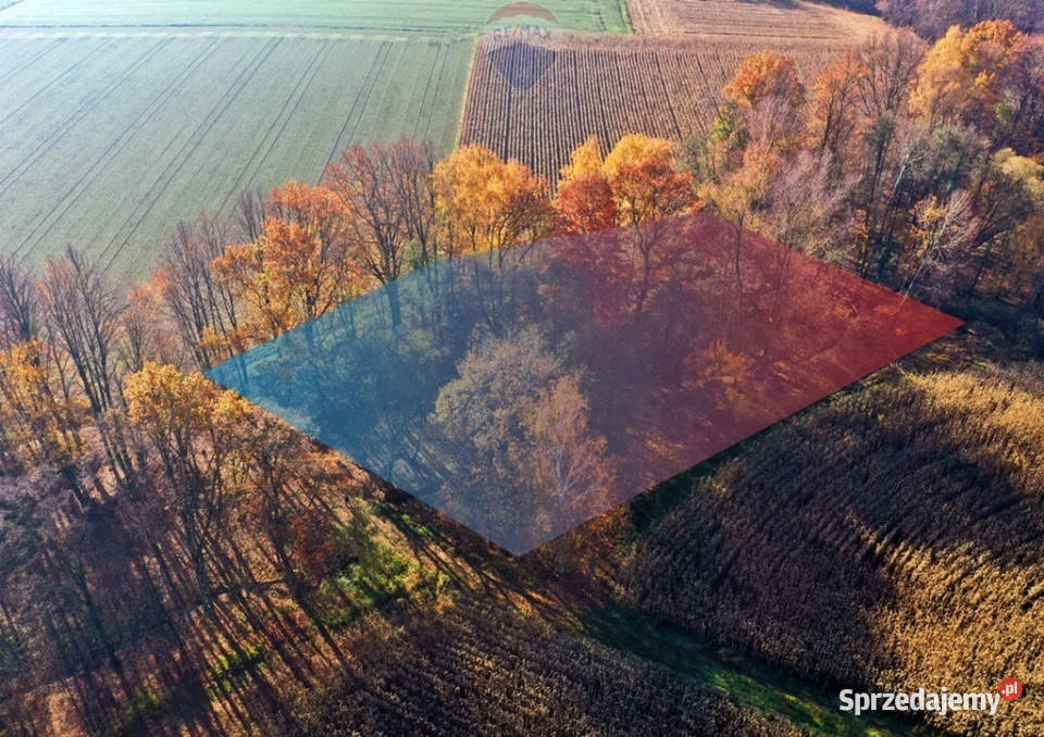 Bajkowa Działka w pięknym otoczeniu Osiek