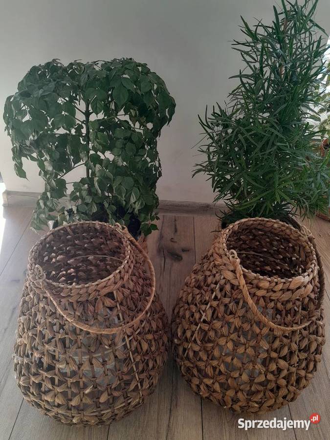 Dwa lampiony Rovterne Jysk Dekoracje i ozdoby