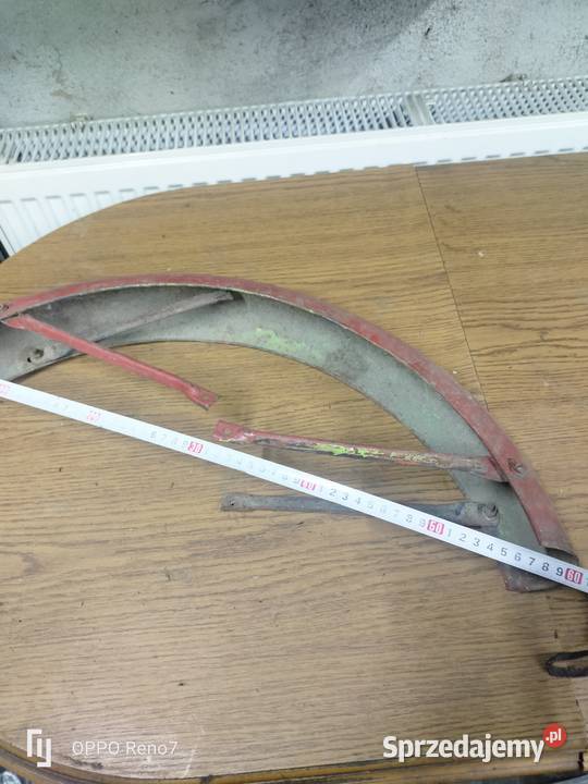 Błotnik komar Łubno