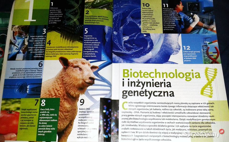prostu biologia Karolina Archacka Rafał Chełm
