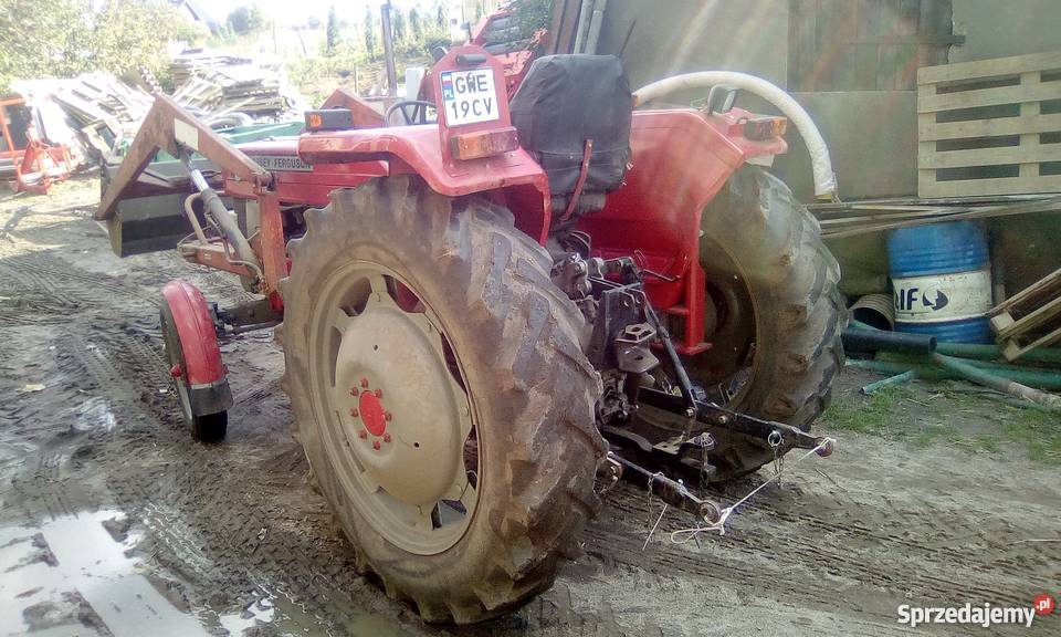 Sprzedam massey ferguson 165 Warzno sprzedam