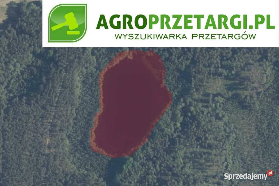 Dzierżawa 294 ha jeziora zachodniopomorskie Wałcz