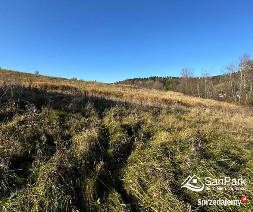 Działka Bezmiechowa Dolna 5000m2 rolna