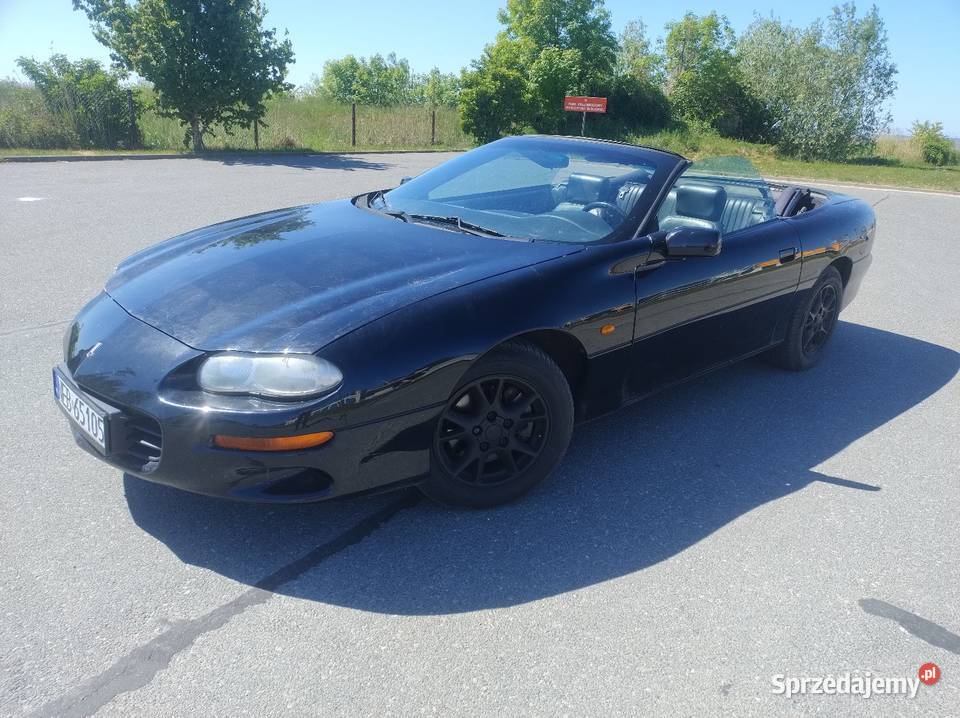 Chevrolet Camaro IV Convertible 2001r 38 V6 1 Wł asystent parkowania Elbląg