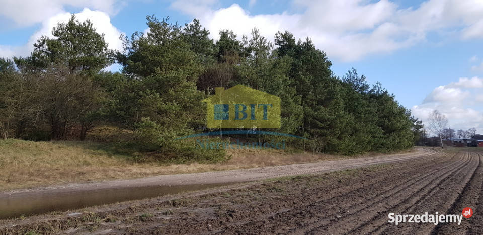 Działka o pow 1103m2 z warunkami zabudowy rolna zachodniopomorskie Świerczyna