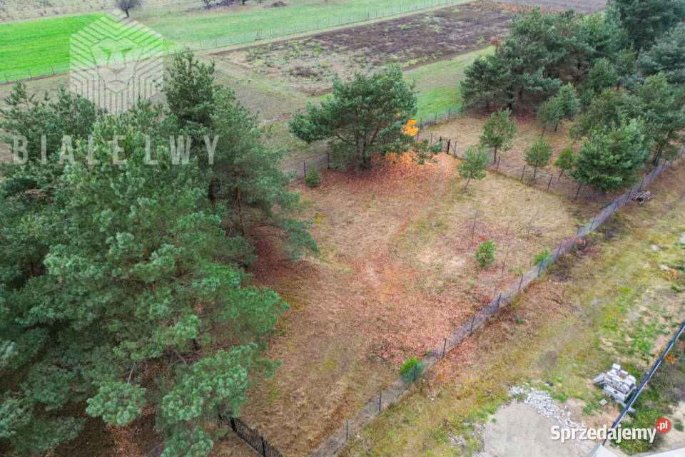 Grunt 934m2 Jachranka