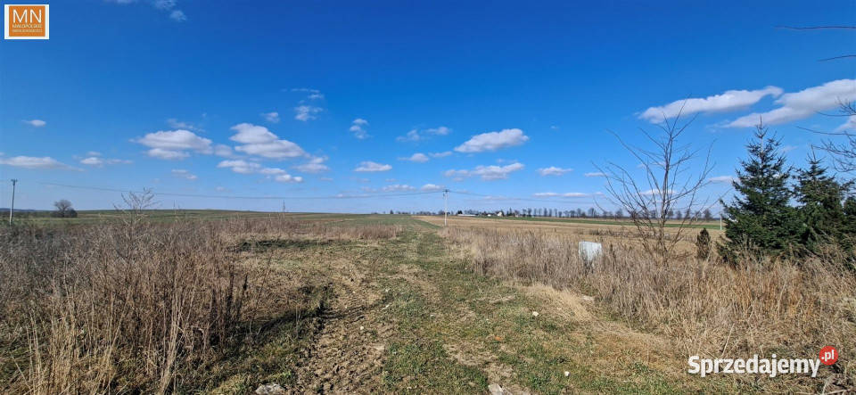 Grunt PrandocinIły 1604m2 124zł/m2 Sprzedaż Prandocin-Iły