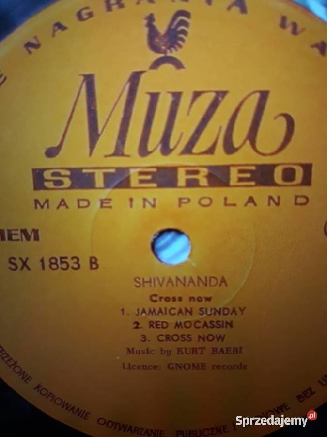 Archiwum szwajcarskiego jazz rocka SHIVANANDA Płyty i kasety podkarpackie Rzeszów sprzedam