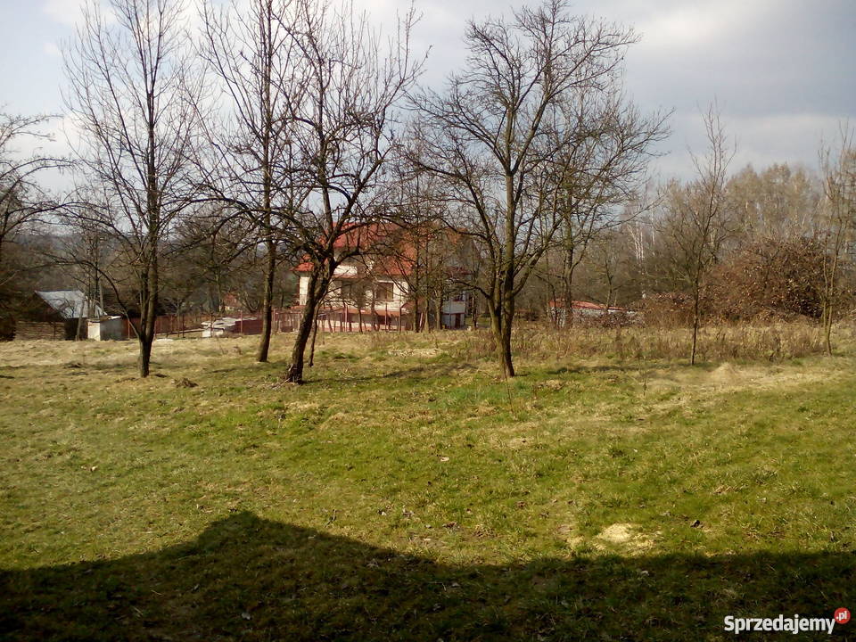 Sprzedam dom w Borówniej 40m2 Borówna