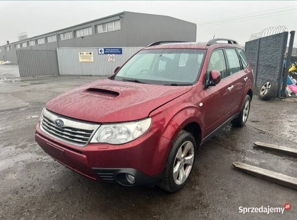 Subaru Forester cała na części silnik diesla lubuskie Szprotawa sprzedam