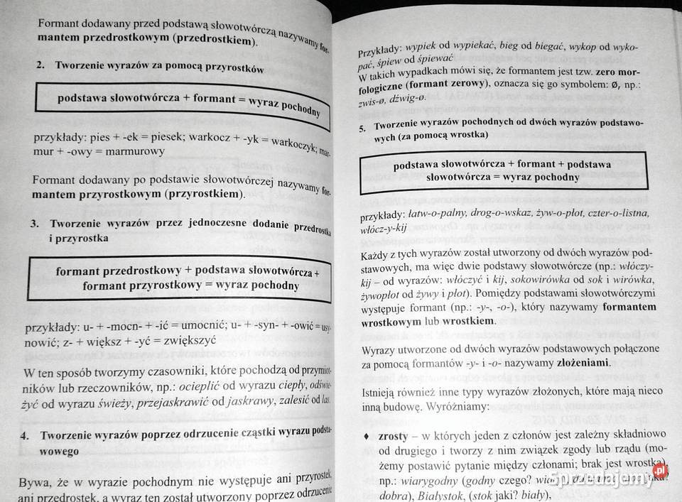 Gramatyka języka polskiego Justyna Rudomina Rok wydania 2005