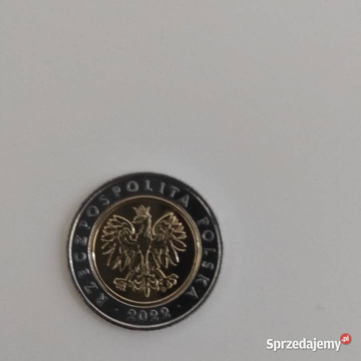 5 2022 stan I Koronowo