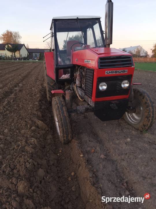 Sprzedam ursusa 1201 zarejestrowany Ciągniki wielkopolskie Szczytniki
