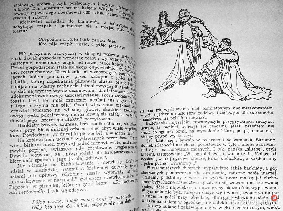 Dobra wieść niosą jeść Natalia Bojarska B Pozostałe Chełm sprzedam