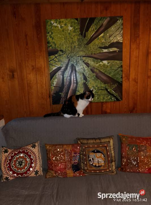 Las Malarstwo Gniewoszyce